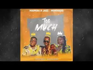 Mapara A Jazz & Makhadzi [Feat Prince Benza x Rude Kid Venda] (Official Audio)