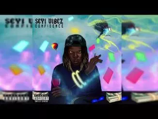Seyi Vibez - Confidence (Official Audio)