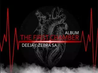 ALBUM: Deejay Zebra SA – The First Chamber