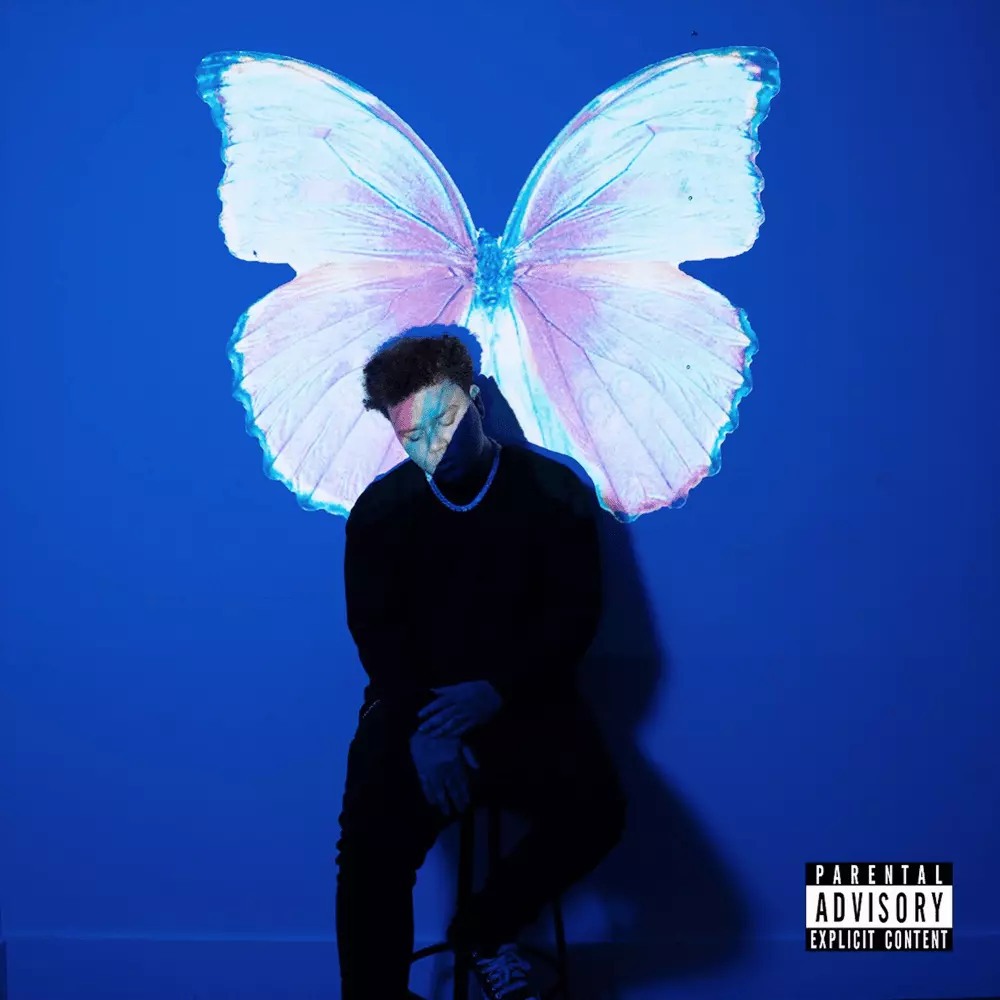 Phora - The Butterfly Effect [Full Album]