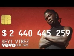 Seyi Vibez - Chance (Video) MP4 Download 