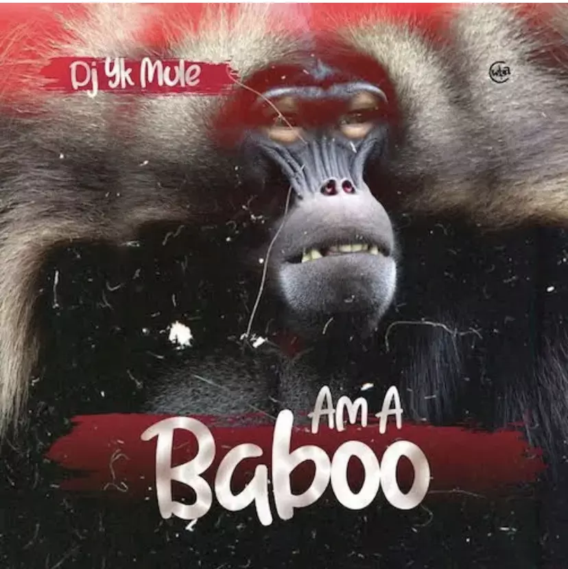Dj Yk - Am A Baboon Mp3 Download 