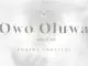 P Daniel - Owo Oluwa