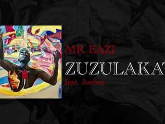 Mr Eazi – Zuzulakate