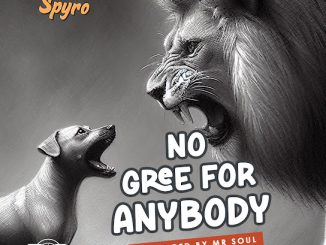 Spyro – No Gree For Anybody (NGFA)